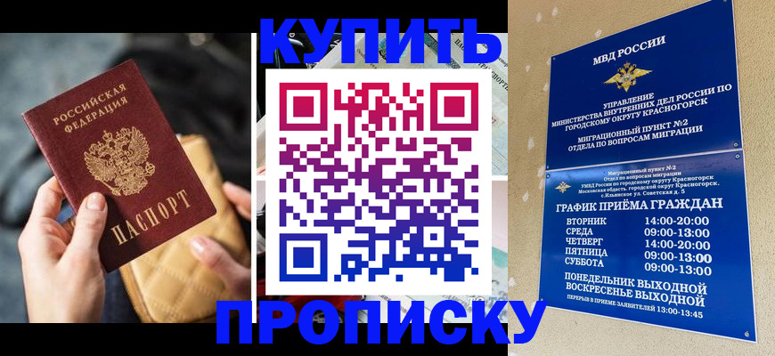 прописка законно в Заринске